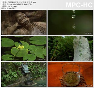 浙江杭州虎跑泉龙井茶 实拍视频剪辑素材