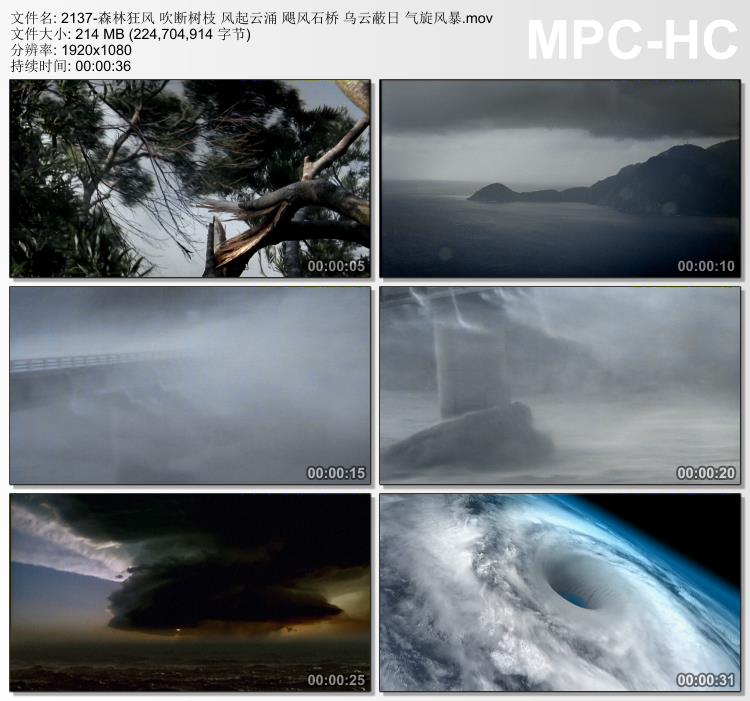 森林狂风吹断树枝 风起云涌 飓风石桥 乌云蔽日 高清视频剪辑素材