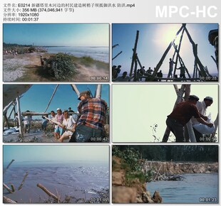 新疆塔里木河边的村民 建造树梢子坝抵御洪水防洪 实拍视频素材