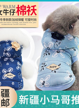优派秋冬款狗狗衣服泰迪宠物两脚