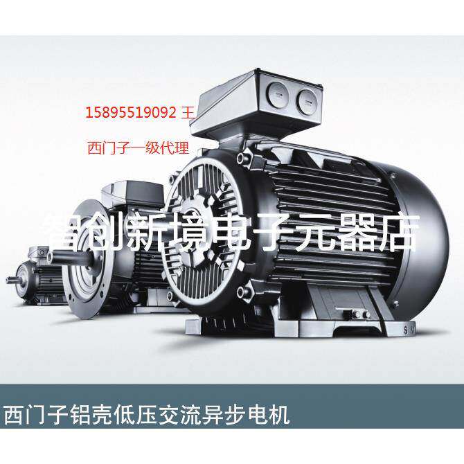 德国进口西门子电机1LE1001-0CA22-2NA4-Z 0.37KW 2P B34立卧式
