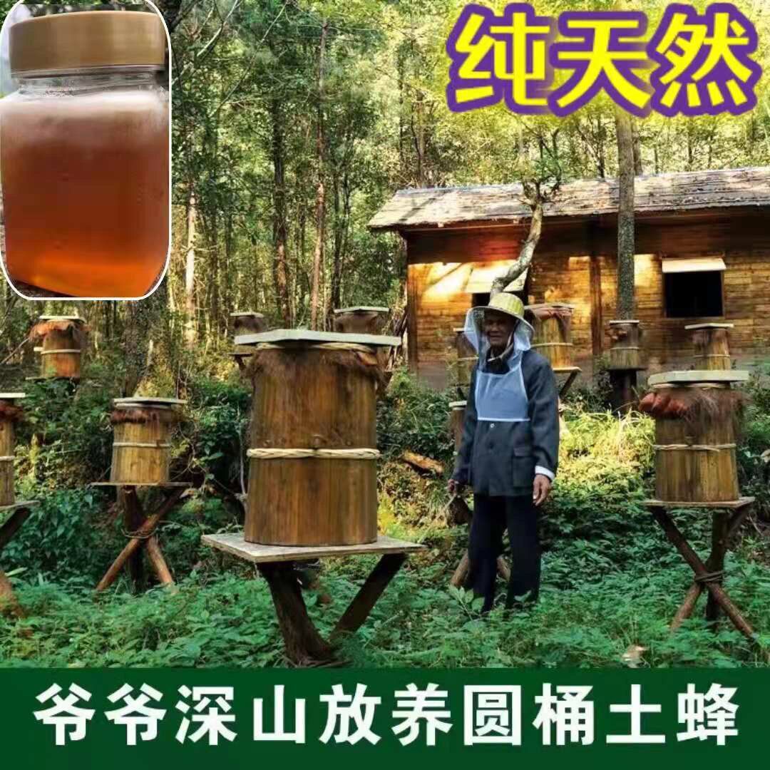 蜂蜜纯正天然野生农家土蜂蜜孕妇儿童蜂蜜蜂蜜土纯正百花蜜峰巢蜜