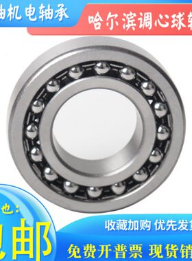 HRB哈尔滨双列调心球轴承1307 1308 1309 1310 1311 1312ATN K P5