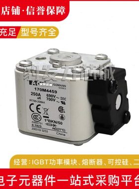 170M4921/4922/4923/4924/4925/4926/4927/4928/492/4930熔断器