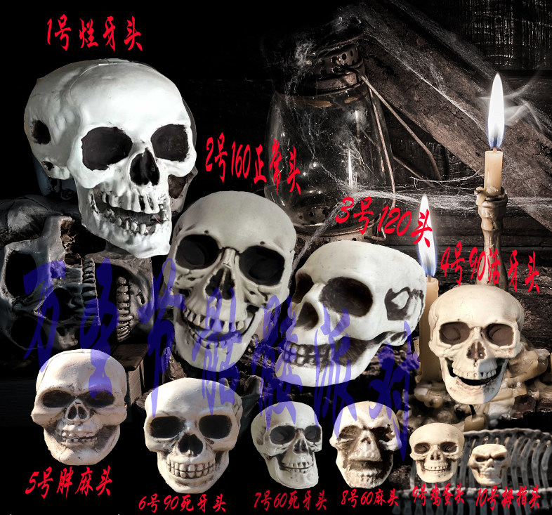 超火爆仿真人骷髅头成人正常头骨大小小孩骷髅鬼屋道具万圣节摆件