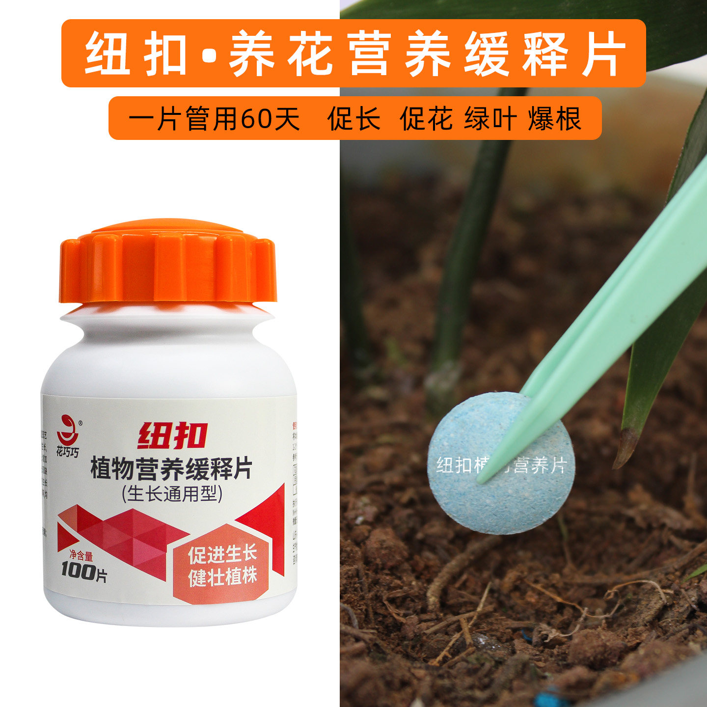 纽扣植物营养缓释片花卉专用肥料100片促生长花绿叶爆根观叶通用,鲜花速递/花卉仿真/绿植园艺,家庭园艺肥料,淘宝优惠券,粉丝福利购,淘宝优惠卷