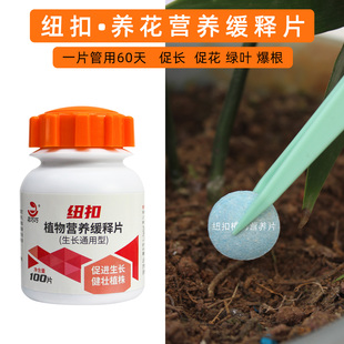 纽扣植物营养缓释片花卉专用肥料100片促生长花绿叶爆根观叶通用