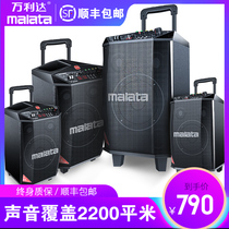 Wanlida square dance sound L8 inch high power outdoor pull rod sound box with wireless microphone karaoke portable L12