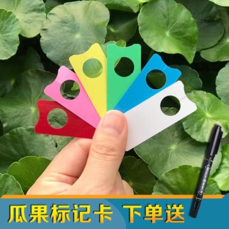 thickening household Buckle Fruits and vegetables marking pen colour gardening label identification waterproof sign Caddoa Melon and fruit gardeningin the Flower delivery/Flowers simulation/Plants gardening , Gardening supplies , Other Garden Supplies  category - from Buy2taobao.com to provide professional Taobao agent buy service