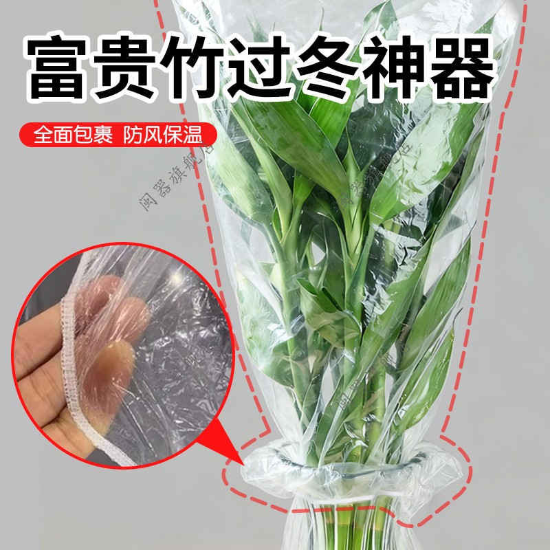 富贵竹过冬神器植物防寒罩树木过冬防寒保温罩绿植防冻透明保暖膜