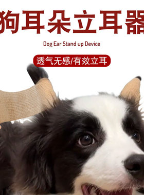 狗耳朵立耳器小狗耳朵立耳器立耳贴幼犬竖耳辅助器无胶水