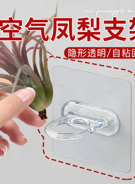 空气凤梨支架专用花盆花架配饰冰箱贴装饰自粘支架底座无残胶神器