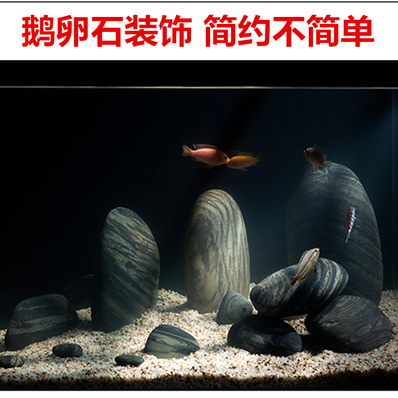 天然鱼缸里的鹅卵石头三湖南美慈鲷鱼缸底砂围边造景鱼池底部石头