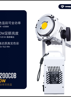 TP300TP200通弈高显指*摄影LED补光直播影室双色温电池外拍