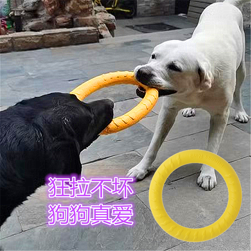 狗狗训练玩具球互动拉环飞盘边牧金毛马犬飞环带逗狗绳球宠物用品-封面