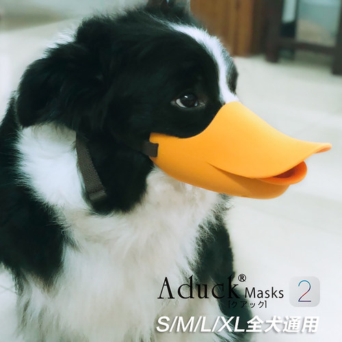 狗嘴套防止咬乱吃金毛小型泰迪