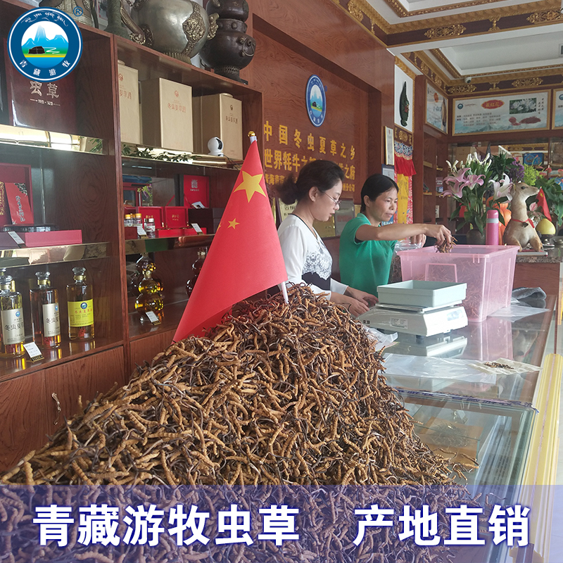 青藏游牧 青海冬虫夏草正品虫草精选4根/g果洛雪山产地直销在类目 传统滋补营养品, 冬虫夏草中 - 来自Buy2taobao.com提供专业的淘宝代购服务