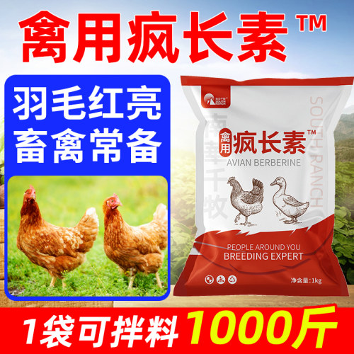 禽用疯长素王鸡鸭鹅用小鸡鸽子