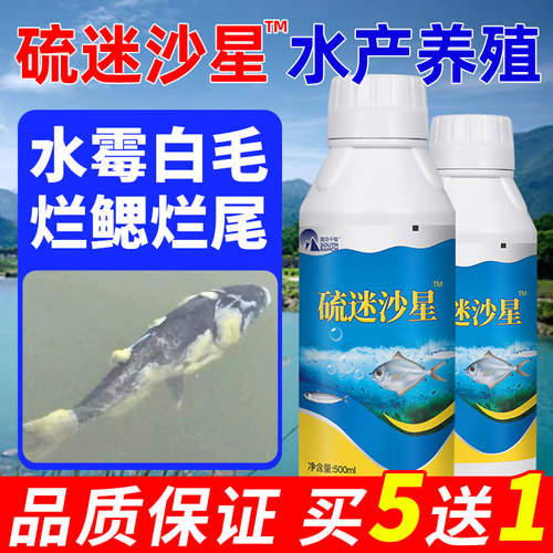 硫醚沙星水霉净养殖鱼塘毛病