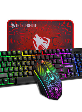 Gaming Keyboard And Mouse Wired Gamer RGB Waterproof键盘鼠标