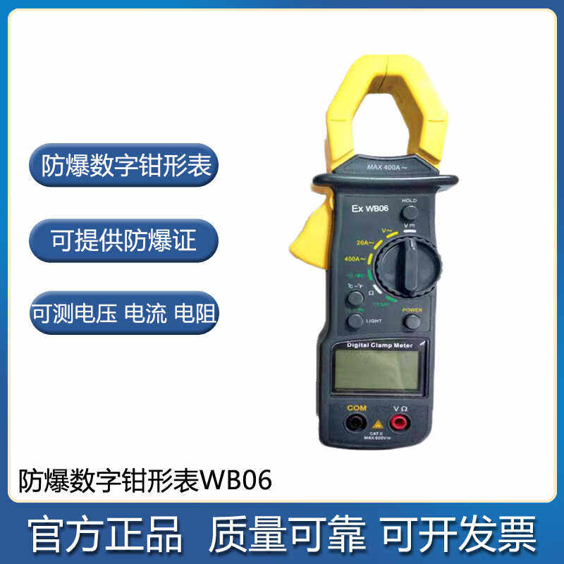 防爆认证防爆钳形表WB06高精度