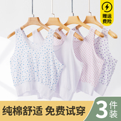 薄款 文胸罩妈妈内衣夏季 老人背心女 纯棉全棉背心式 女士中老年汗衫