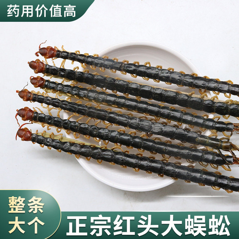 蜈蚣干中药材湖北红头大蜈蚣15厘米蜈蚣肉整条可磨粉泡酒药材