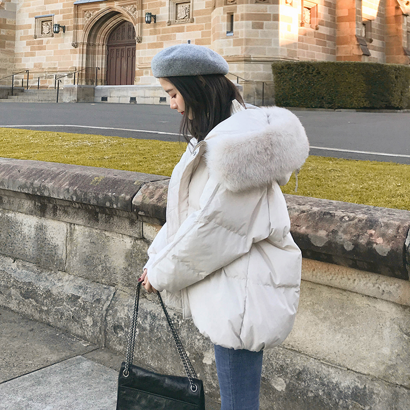 主推新款韩版多色大毛领短款棉衣MMJ299P165控价238已出货，女装棉衣/棉服，浙宝233