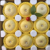 2026山东小蜜蜂甜瓜香瓜蜜罐甜瓜兴甜田20二十甜瓜新鲜水果白糖罐