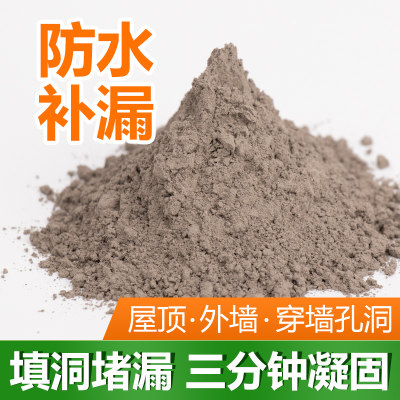 防水补漏材料堵漏灵卫生间屋顶裂缝防水堵漏王漏水快干水泥砂浆胶