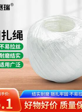 安赛瑞塑料捆扎绳仓库搬家打包绳1卷150g白色EA200455