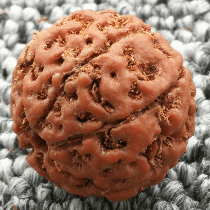 精挑尼泊尔大金刚菩提子原籽手串单颗爆肉沉水七八瓣散珠男士佛珠