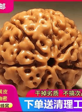 新品精挑大金刚菩提子手串男士原籽黄皮满肉红皮6六瓣7七8八9九瓣