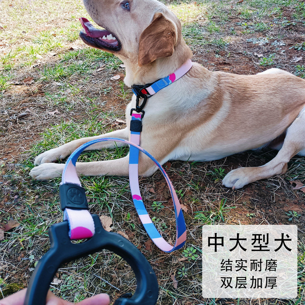 中大型犬牵引绳金毛哈士奇拉布拉多遛狗绳狗链项圈脖圈加厚牵引带