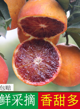 血橙新鲜采摘当季水果塔罗科玫瑰红心超甜红皮橙子正宗长寿湖血脐