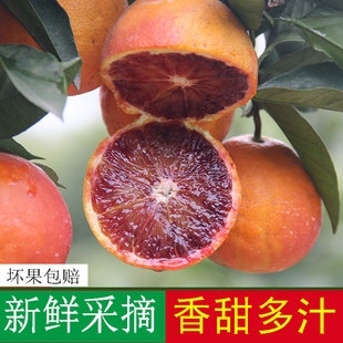 血橙新鲜采摘当季水果塔罗科玫瑰红心超甜红皮橙子正宗长寿湖血脐