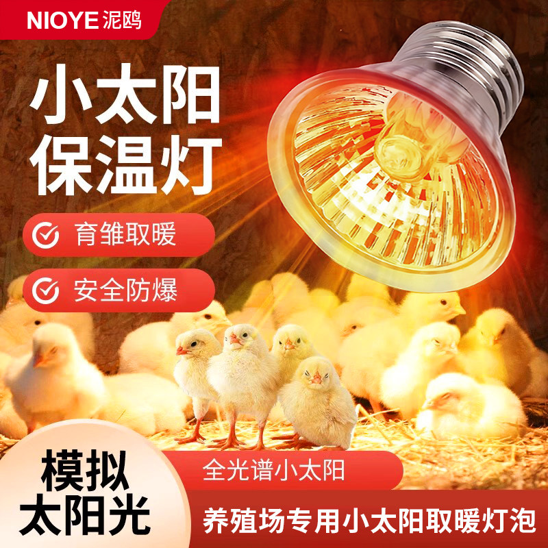 小鸡育雏保温灯养殖场专用芦丁鸡小太阳取暖灯乌龟爬宠物加热灯泡,家装灯饰光源,LED球泡灯,淘宝优惠券,粉丝福利购,淘宝优惠卷