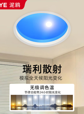 青晴天空灯coelux原版太阳灯