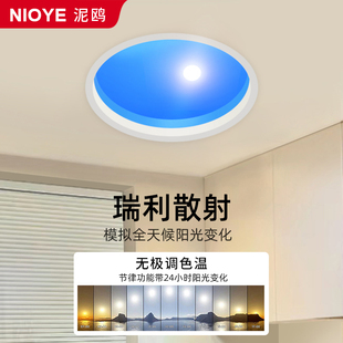青晴空灯自然光仿蓝天窗圆形室内模拟阳光意大利coelux原版太阳灯