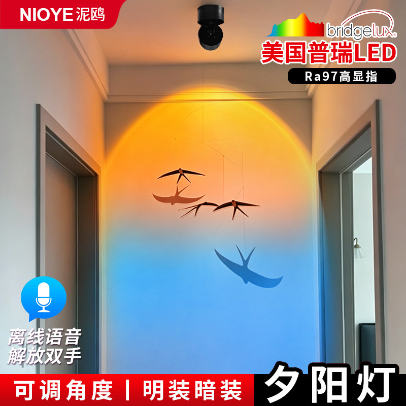 破晓灯日不落射灯氛围灯明装玄关装饰过道洗墙客厅网红夕阳落日灯