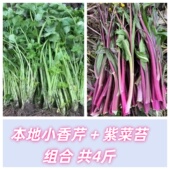 湖北农家冬季 露天霜冻蔬菜组合软糯香甜紫菜苔 小香芹组合4斤