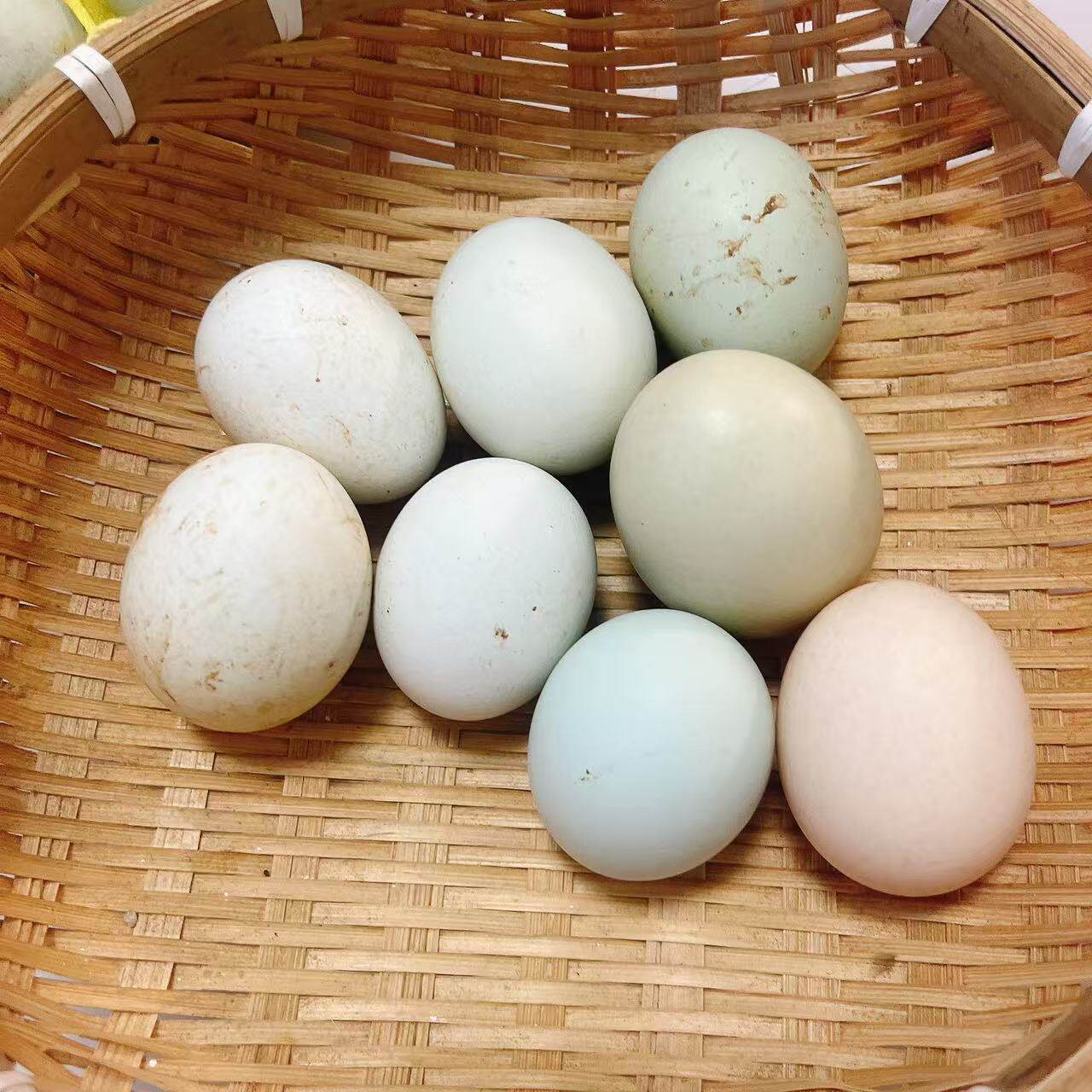 湖北农村老奶奶散养土鸡蛋绿壳粉壳笨鸡蛋走地柴鸡蛋月子孕妇吃