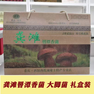 酉阳特产龚滩罾潭香菌农家香菇无根干香菇自产冬菇香菌食用蘑菇小