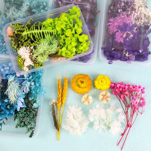成人儿童手工diy干花材料包 儿童节幼儿园真花装饰永生花SW74
