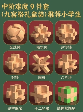 儿童智力解锁玩具小学生木质鲁班锁榫卯积木九连环解环烧脑孔SW26