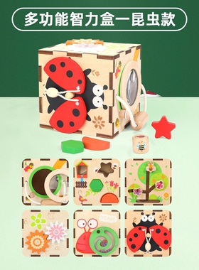 木质六合一多功能形状配对昆虫智力盒宝宝幼儿园早教训练益智SW01