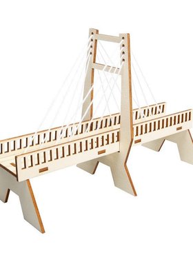 科技小制作小发明DIY手工斜拉桥小学生力学物理STEAM科学实验SW06