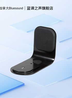 BLUESOUND WM200（PULSE挂墙支架）