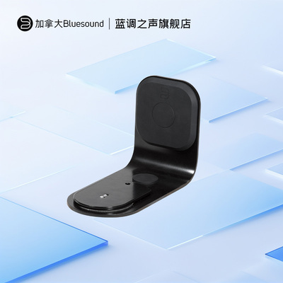 bluesoundwm200挂墙支架