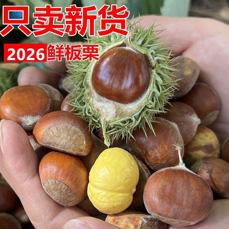 2026新货正宗农家新鲜板栗生栗子